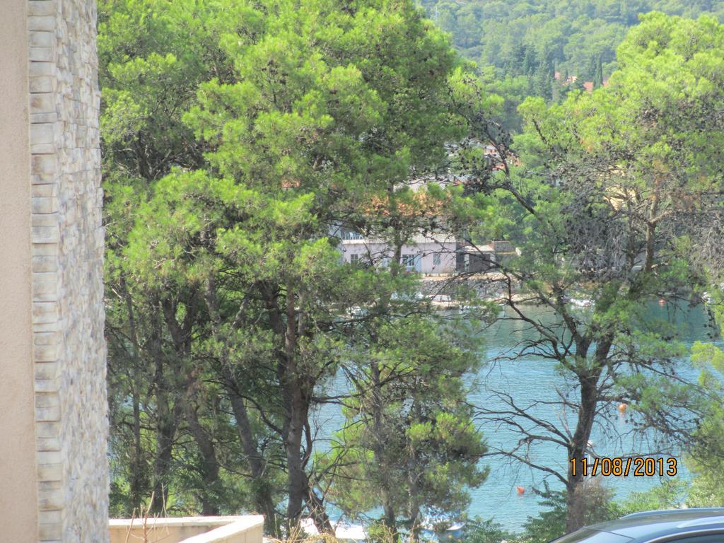 Apartment Falcon Stari Grad  Pokoj fotografie