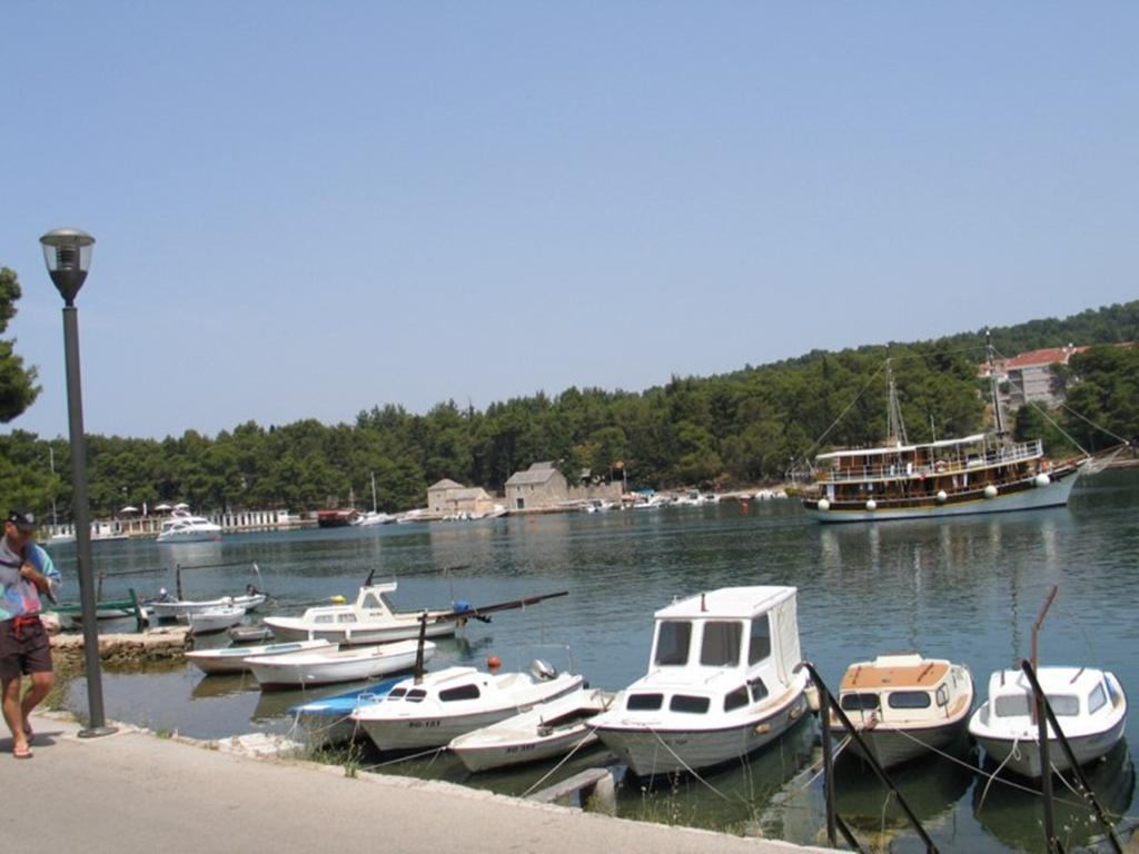 Apartment Falcon Stari Grad  Pokoj fotografie