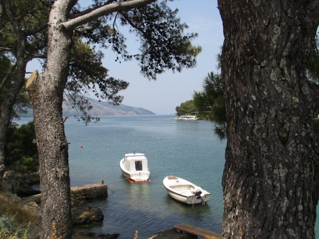 Apartment Falcon Stari Grad  Pokoj fotografie
