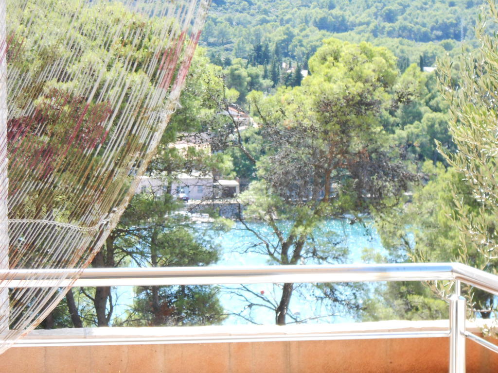 Apartment Falcon Stari Grad  Pokoj fotografie